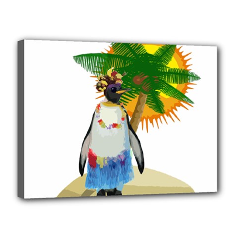 Tropical Penguin Canvas 16  X 12 