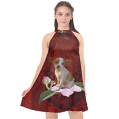Sweet Little Chihuahua Halter Neckline Chiffon Dress  by FantasyWorld7
