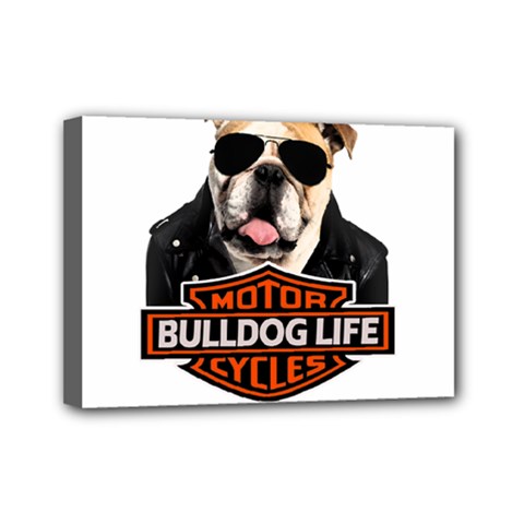 Bulldog Biker Mini Canvas 7  X 5  by Valentinaart