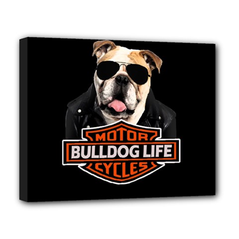 Bulldog Biker Deluxe Canvas 20  X 16   by Valentinaart