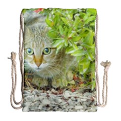 Hidden Domestic Cat With Alert Expression Drawstring Bag (large) by dflcprints