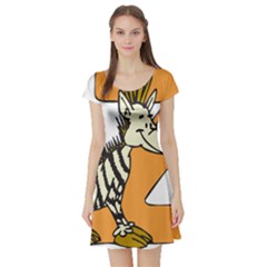 Zebra Animal Alphabet Z Wild Short Sleeve Skater Dress