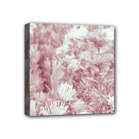 Pink Colored Flowers Mini Canvas 4  X 4 