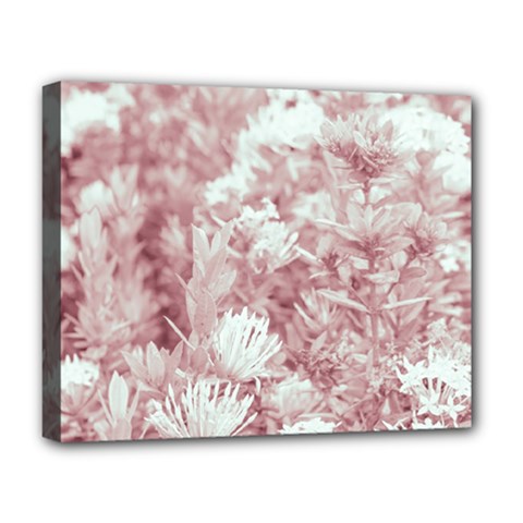 Pink Colored Flowers Deluxe Canvas 20  X 16   by dflcprints