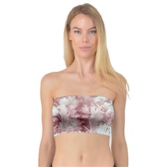 Pink Colored Flowers Bandeau Top by dflcprints