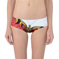 Butterfly Bright Vintage Drawing Classic Bikini Bottoms