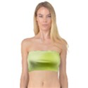 Green Soft Springtime Gradient Bandeau Top View1