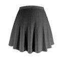 Charcoal frost Mini Flare Skirt View2