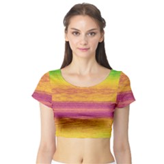 Ombre Short Sleeve Crop Top (tight Fit) by ValentinaDesign