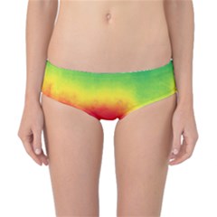 Ombre Classic Bikini Bottoms by ValentinaDesign