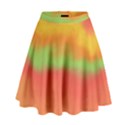 Ombre High Waist Skirt View1