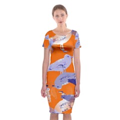 Seagull Gulls Coastal Bird Bird Classic Short Sleeve Midi Dress by Nexatart