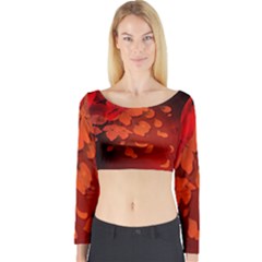 Cherry Blossom, Red Colors Long Sleeve Crop Top by FantasyWorld7