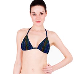 Stylish Colorful Strips Bikini Top by gatterwe