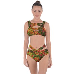 Flower Red Nature Garden Natural Bandaged Up Bikini Set 