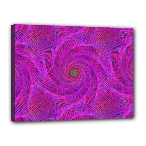 Pink Abstract Background Curl Canvas 16  X 12 