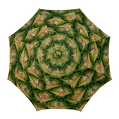 Pineapple Pattern Golf Umbrellas by Nexatart