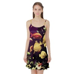 Tropical Fish Satin Night Slip