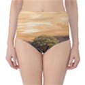 Landscape High-Waist Bikini Bottoms View1