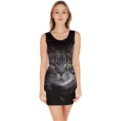 Domestic Cat Bodycon Dress by Valentinaart