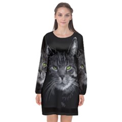 Domestic Cat Long Sleeve Chiffon Shift Dress  by Valentinaart