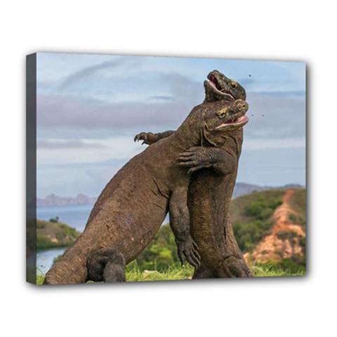 Komodo Dragons Fight Canvas 14  X 11 