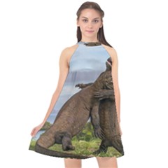 Komodo Dragons Fight Halter Neckline Chiffon Dress  by Nexatart