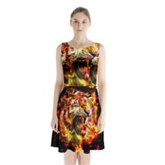 Fire Tiger Sleeveless Waist Tie Chiffon Dress by stockimagefolio1