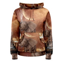Cute Baby Elephant On A Jetty Women s Pullover Hoodie by FantasyWorld7