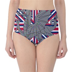 Alternatively Mega British America Dragon Illustration High-waist Bikini Bottoms