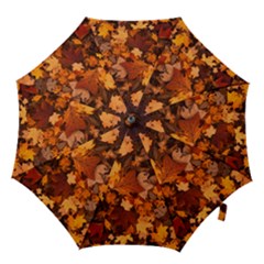 Fall Foliage Autumn Leaves October Hook Handle Umbrellas (large) by Nexatart
