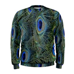 Peacock Feathers Blue Bird Nature Men s Sweatshirt by Nexatart