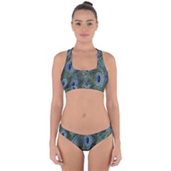 Peacock Feathers Blue Bird Nature Cross Back Hipster Bikini Set by Nexatart