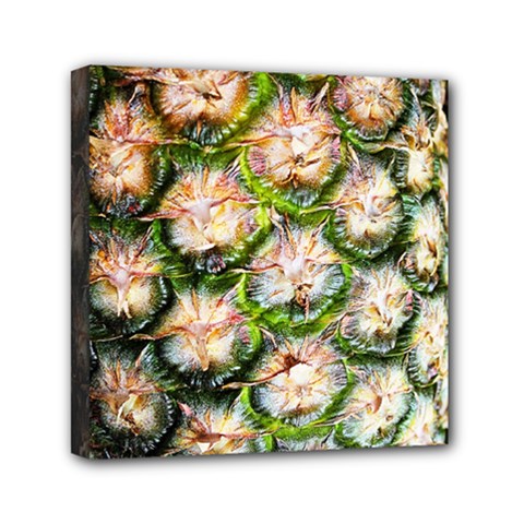 Pineapple Texture Macro Pattern Mini Canvas 6  X 6  by Nexatart