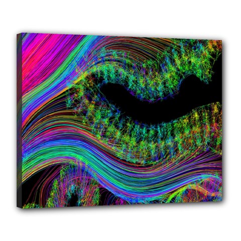 Aurora Wave Colorful Space Line Light Neon Visual Cortex Plate Canvas 20  X 16  by Mariart