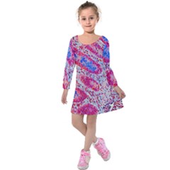 Histology Inc Histo Logistics Incorporated Alcian Blue Kids  Long Sleeve Velvet Dress