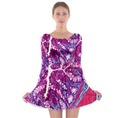 Histology Inc Histo Logistics Incorporated Masson s Trichrome Three Colour Staining Long Sleeve Skater Dress