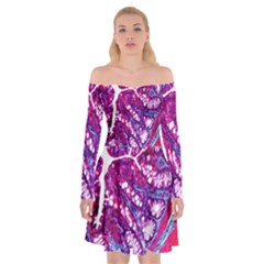 Histology Inc Histo Logistics Incorporated Masson s Trichrome Three Colour Staining Off Shoulder Skater Dress by Mariart