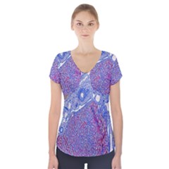 Histology Inc Histo Logistics Incorporated Human Liver Rhodanine Stain Copper Short Sleeve Front Detail Top by Mariart