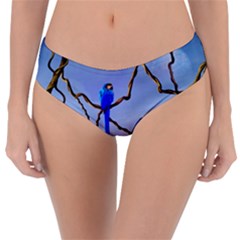 Wonderful Blue  Parrot Looking To The Ocean Reversible Classic Bikini Bottoms by FantasyWorld7