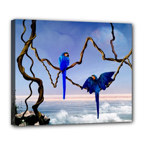 Wonderful Blue  Parrot Looking To The Ocean Deluxe Canvas 24  X 20  