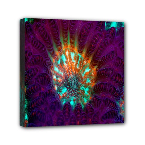 Live Green Brain Goniastrea Underwater Corals Consist Small Mini Canvas 6  X 6  by Mariart