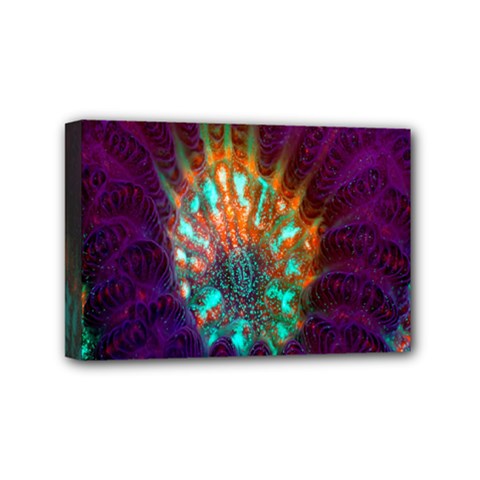 Live Green Brain Goniastrea Underwater Corals Consist Small Mini Canvas 6  X 4  by Mariart