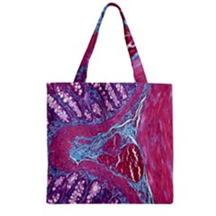 Natural Stone Red Blue Space Explore Medical Illustration Alternative Zipper Grocery Tote Bag