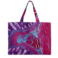 Natural Stone Red Blue Space Explore Medical Illustration Alternative Zipper Mini Tote Bag