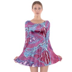 Natural Stone Red Blue Space Explore Medical Illustration Alternative Long Sleeve Skater Dress