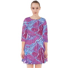 Natural Stone Red Blue Space Explore Medical Illustration Alternative Smock Dress by Mariart