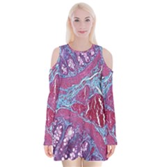 Natural Stone Red Blue Space Explore Medical Illustration Alternative Velvet Long Sleeve Shoulder Cutout Dress