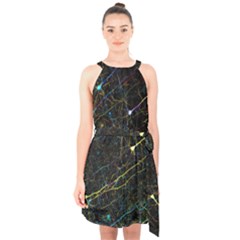 Neurons Light Neon Net Halter Collar Waist Tie Chiffon Dress
