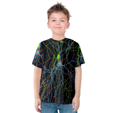 Synaptic Connections Between Pyramida Neurons And Gabaergic Interneurons Were Labeled Biotin During Kids  Cotton Tee by Mariart